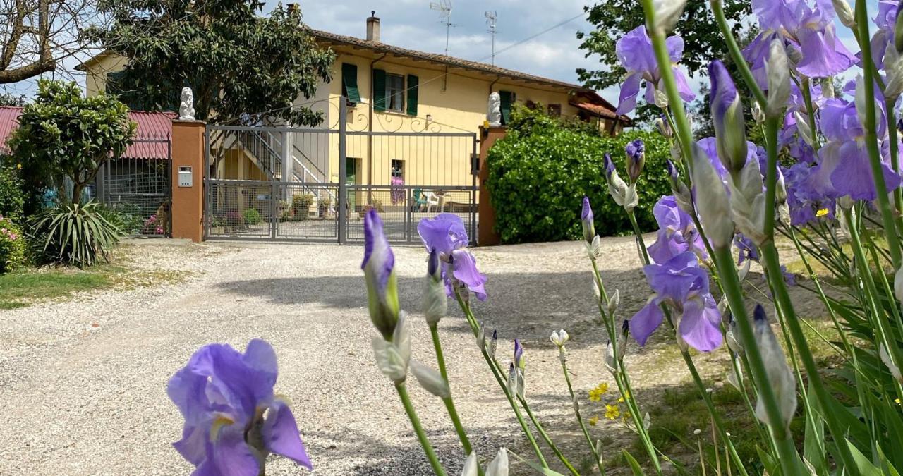 New Apartment Immersed In Nature With Pool San Miniato Bagian luar foto